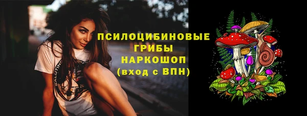 винт Абаза