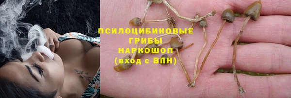 винт Абаза