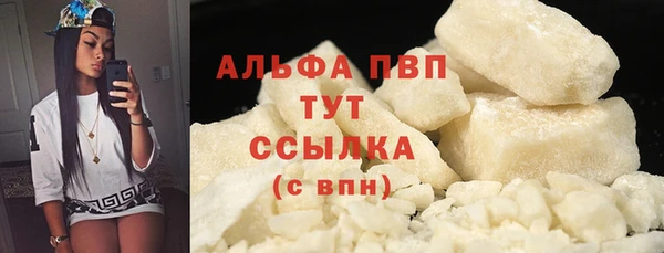 винт Абаза