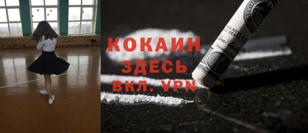 винт Абаза