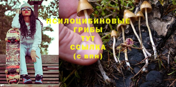 прущие крисы Абинск